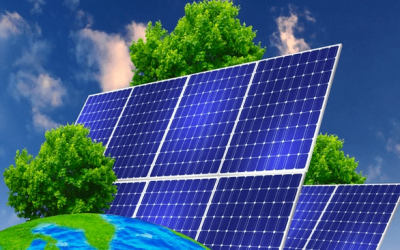 Placas solares + árboles