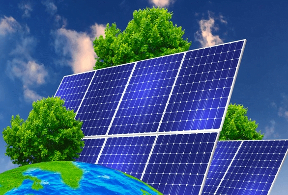 Placas solares + árboles