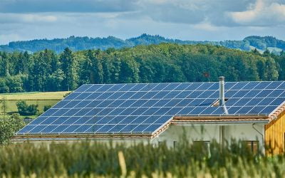 Aficlima primera empresa en plantar árboles por placas solares