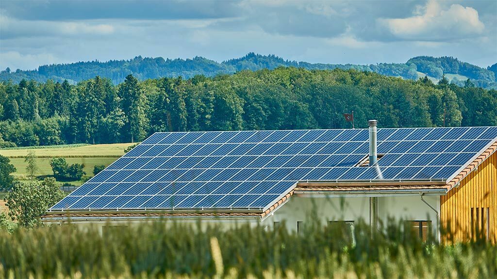 Aficlima primera empresa en plantar árboles por placas solares