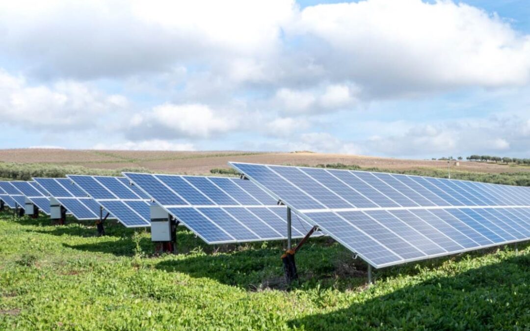 El Gobierno aprueba 124 millones de euros en subvenciones a la energía solar en Andalucía